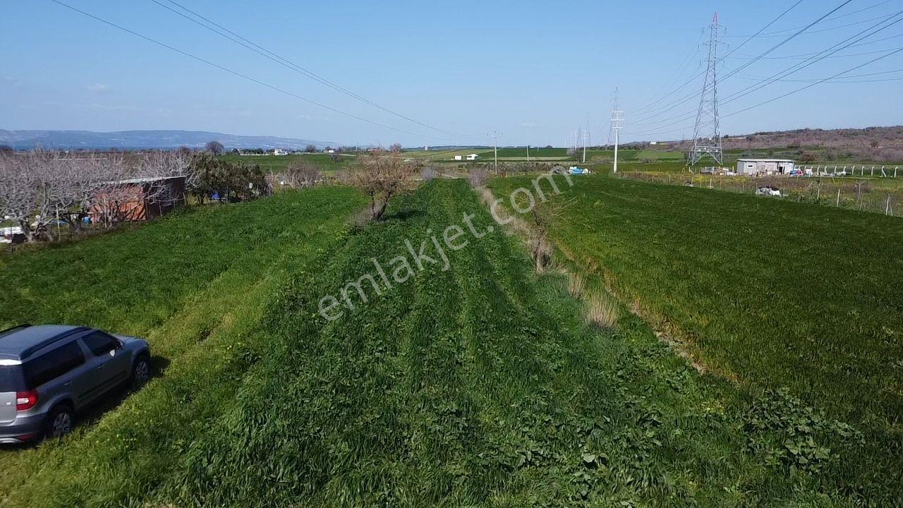 Musaköy'de Satılık 1400 M2 Tarla Han Emlak Otomotiv'den - Görsel 34