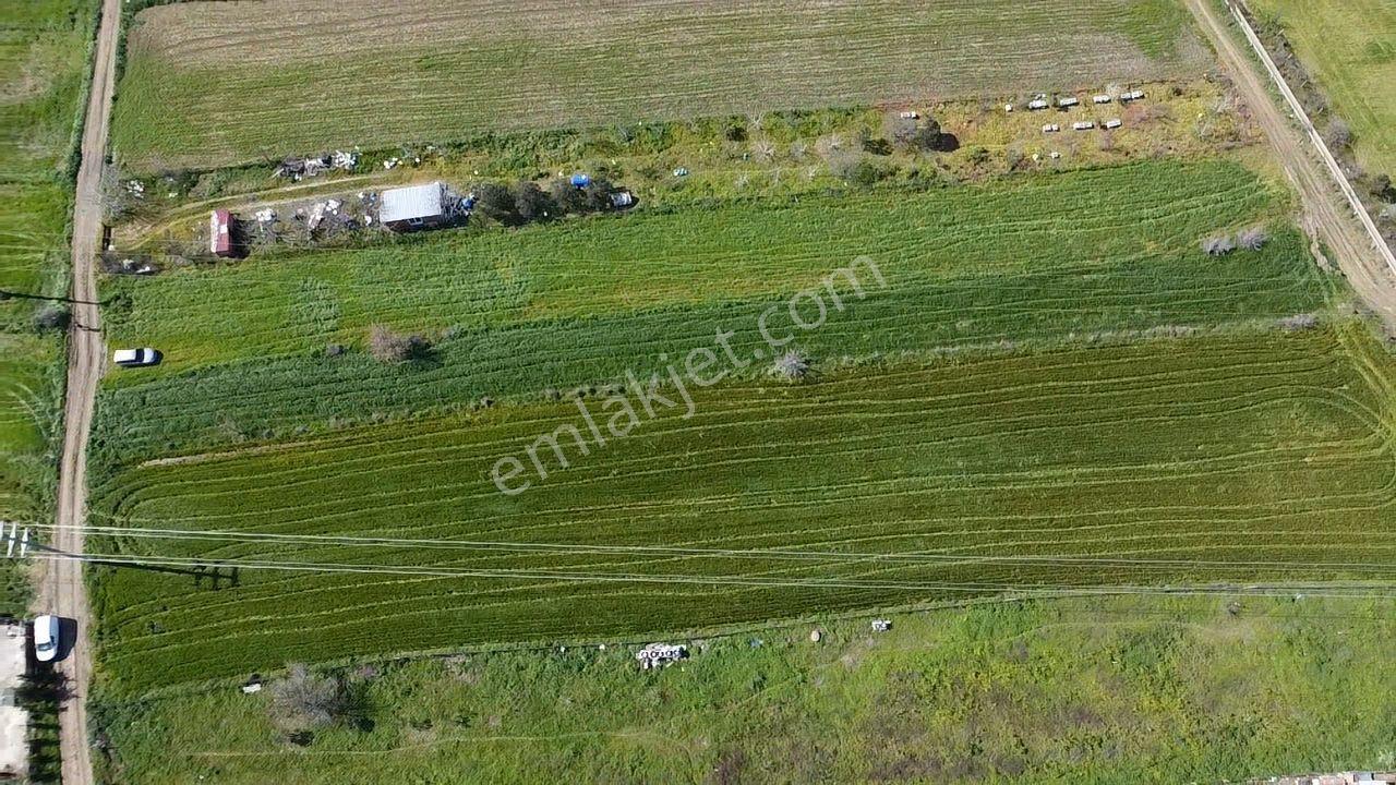 Musaköy'de Satılık 1400 M2 Tarla Han Emlak Otomotiv'den - Görsel 30