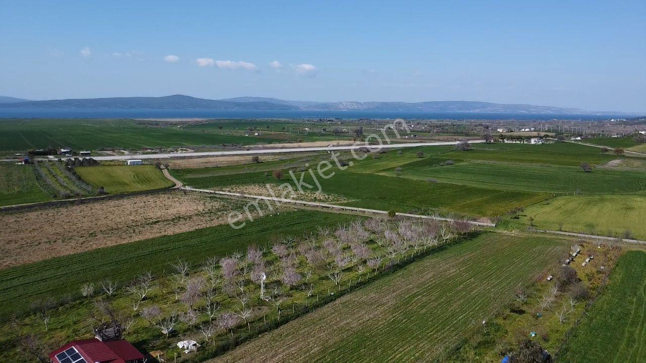 Musaköy'de Satılık 1400 M2 Tarla Han Emlak Otomotiv'den - Görsel 33