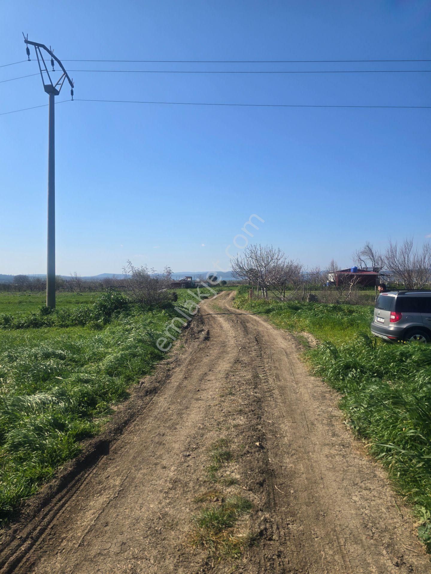 Musaköy'de Satılık 1400 M2 Tarla Han Emlak Otomotiv'den - Görsel 5