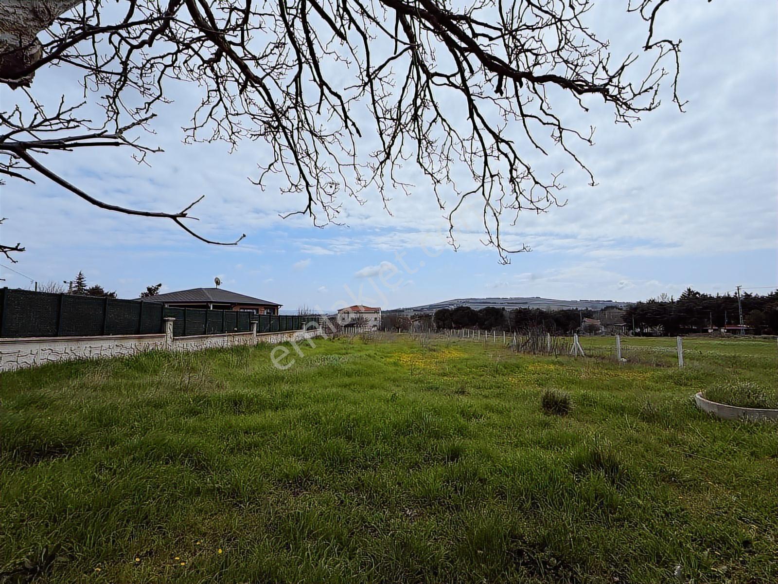 Acil Çatalca Oklalı'da 1382 M² Müstakil Arsa Ve Resmi Yeni Ev !! - Görsel 8