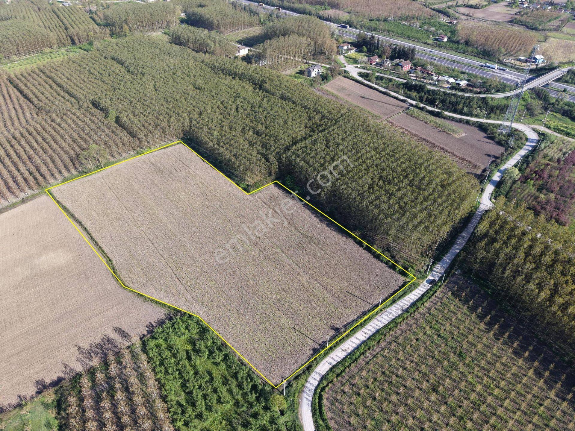 Turaplar Köyü'nde 24.150 M2 Satılık Arazi - Görsel 5
