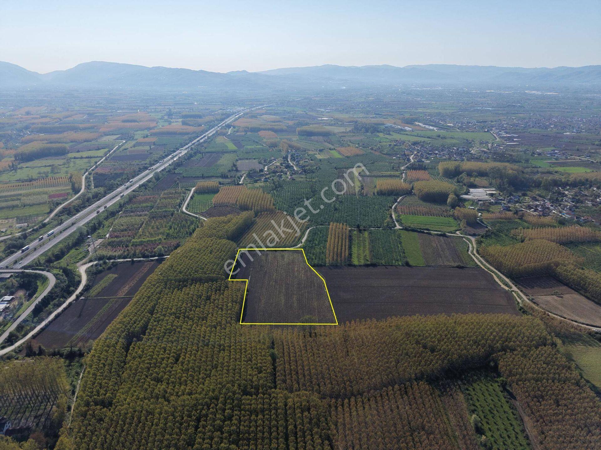 Turaplar Köyü'nde 24.150 M2 Satılık Arazi - Görsel 8