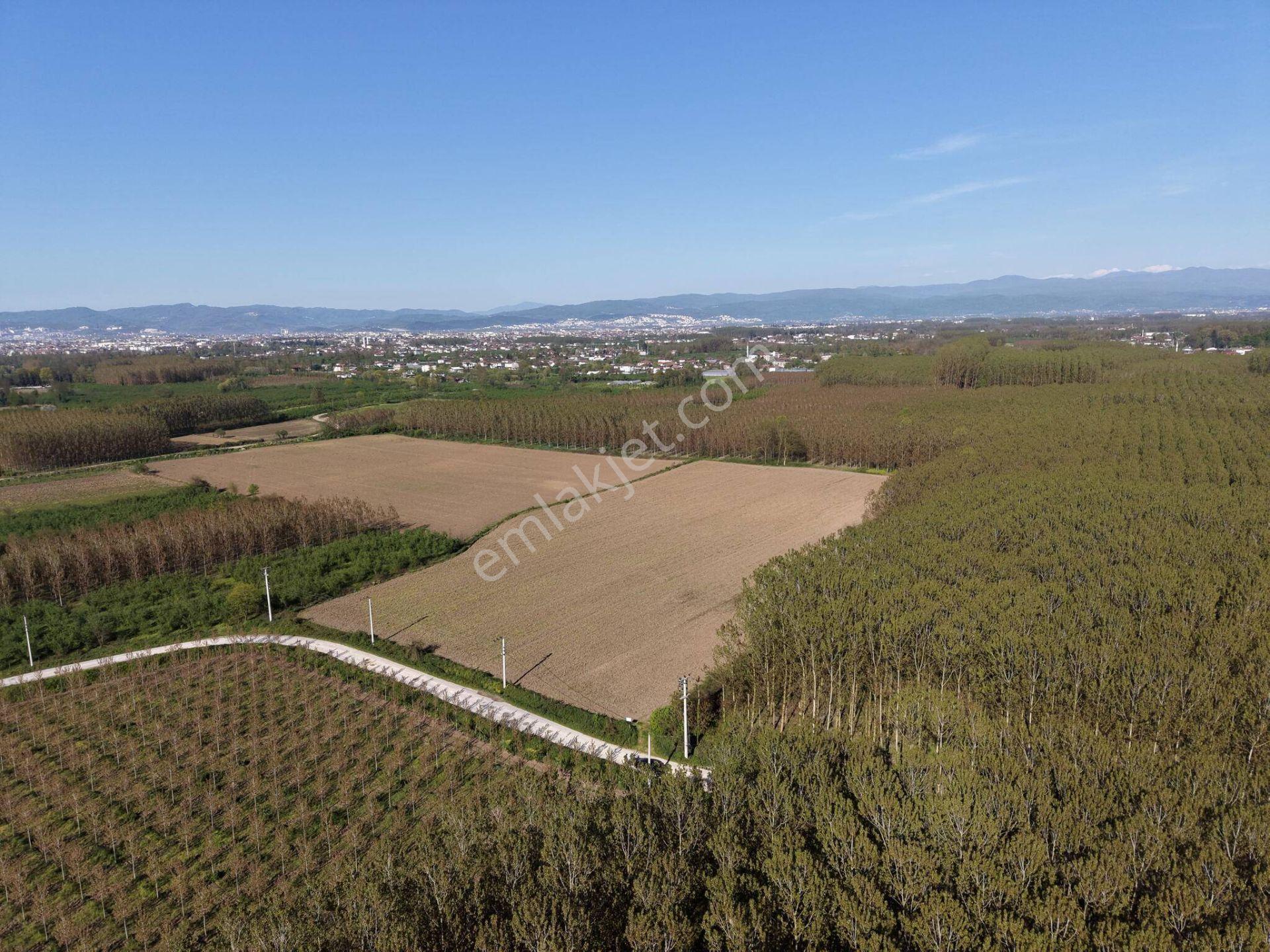 Turaplar Köyü'nde 24.150 M2 Satılık Arazi - Görsel 24