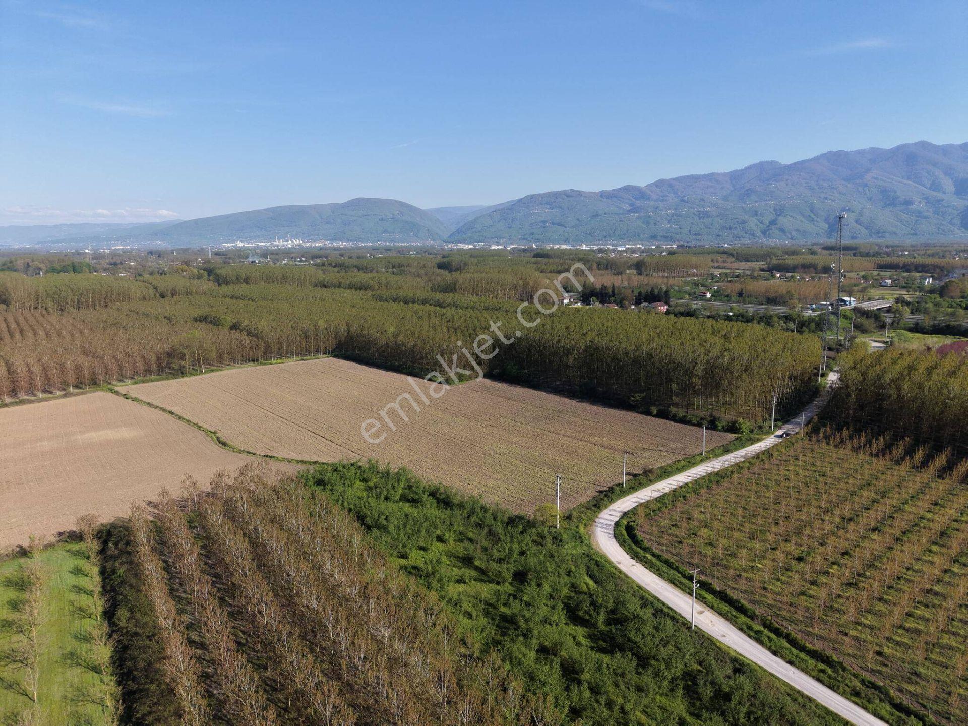 Turaplar Köyü'nde 24.150 M2 Satılık Arazi - Görsel 32