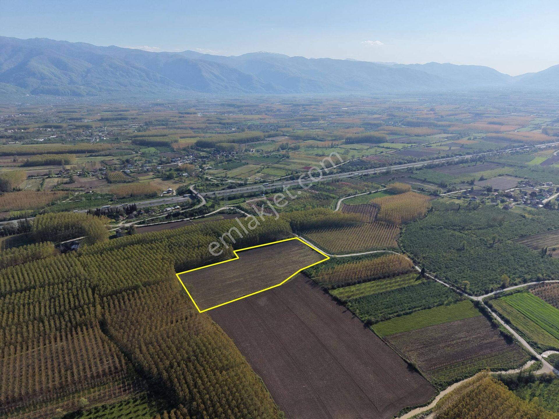 Turaplar Köyü'nde 24.150 M2 Satılık Arazi - Görsel 15