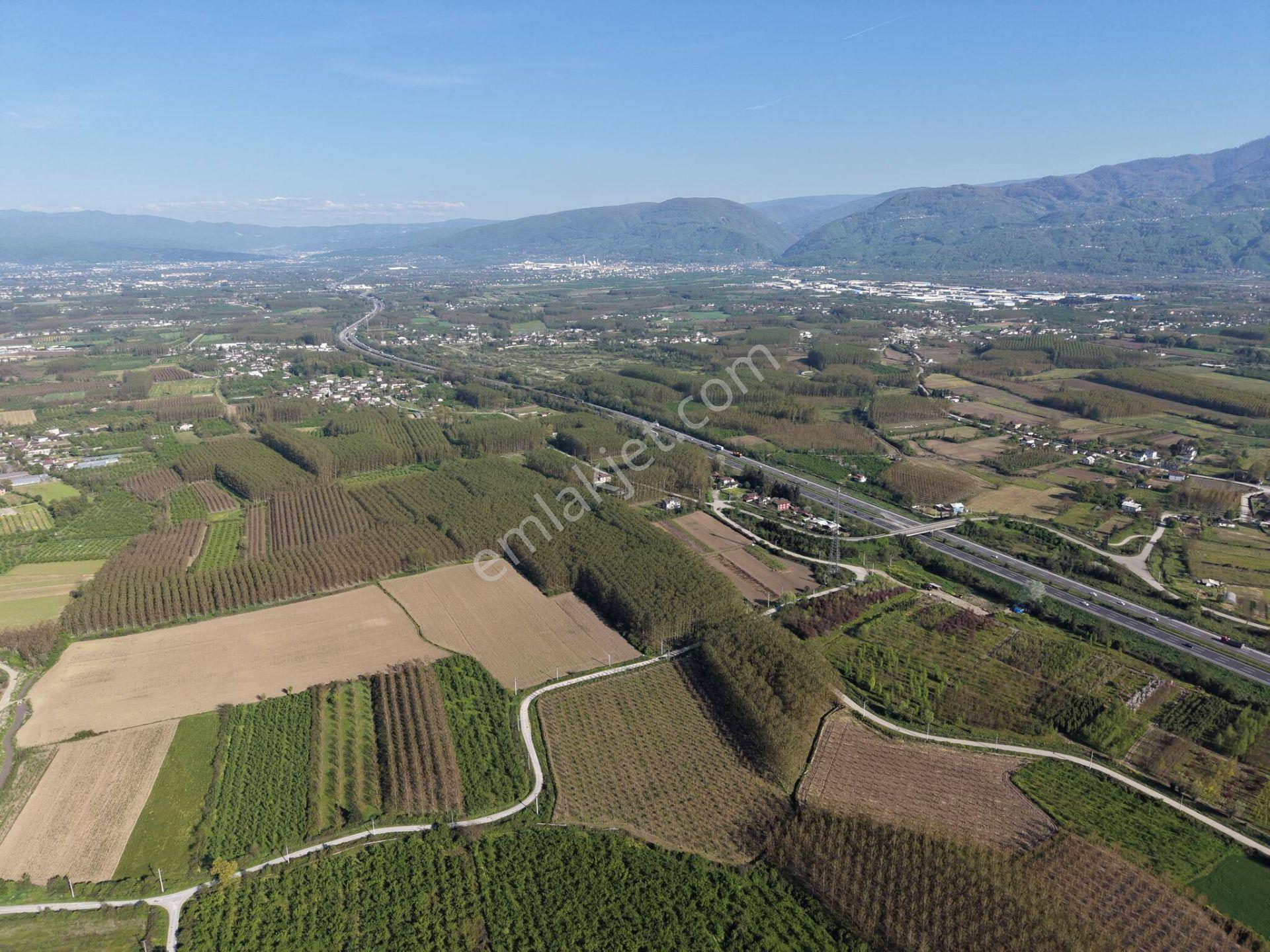 Turaplar Köyü'nde 24.150 M2 Satılık Arazi - Görsel 19