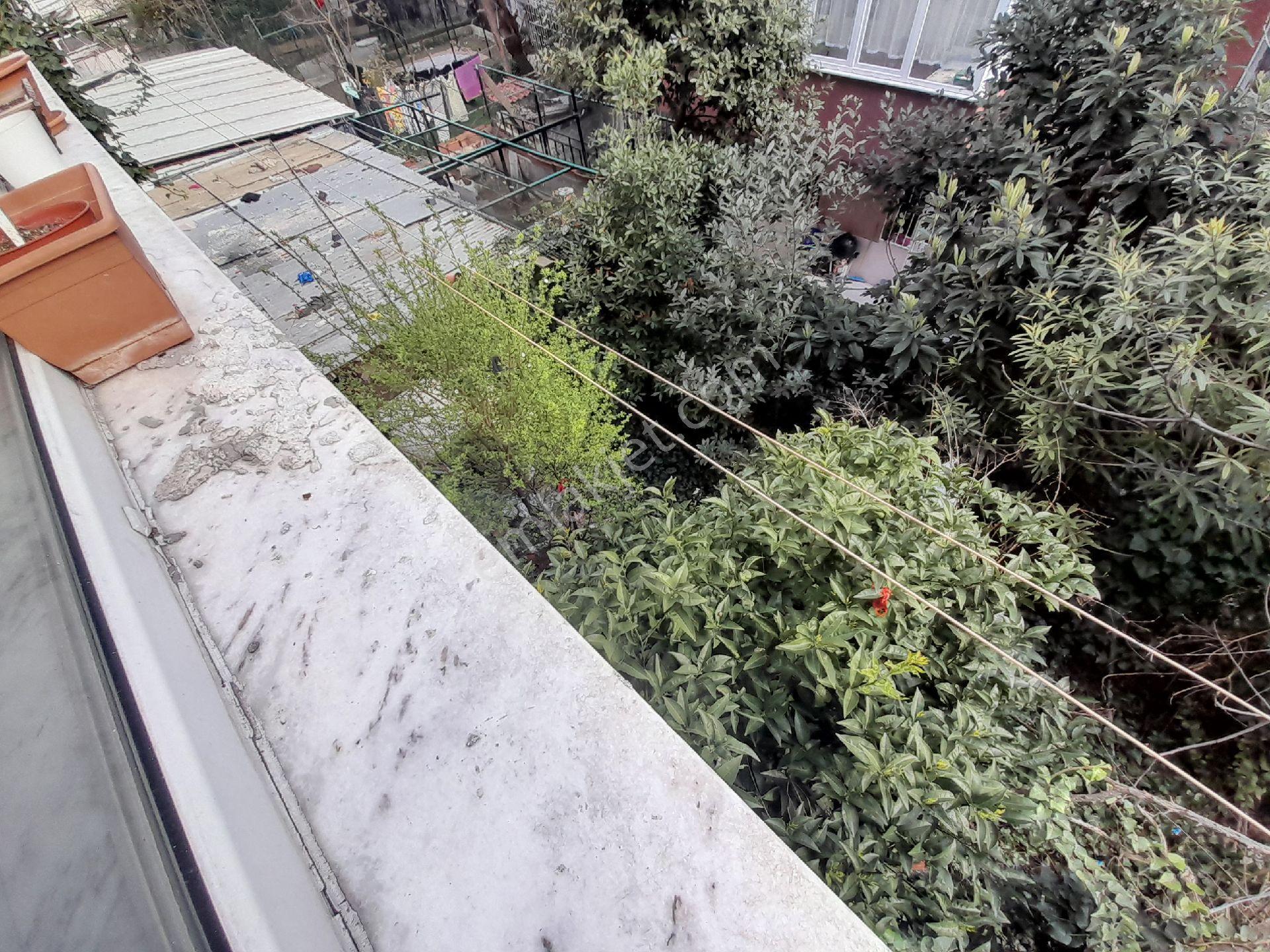 Kocamustafapaşa Cambaziye Sok 3 Katlı Satılık Bına - Görsel 24