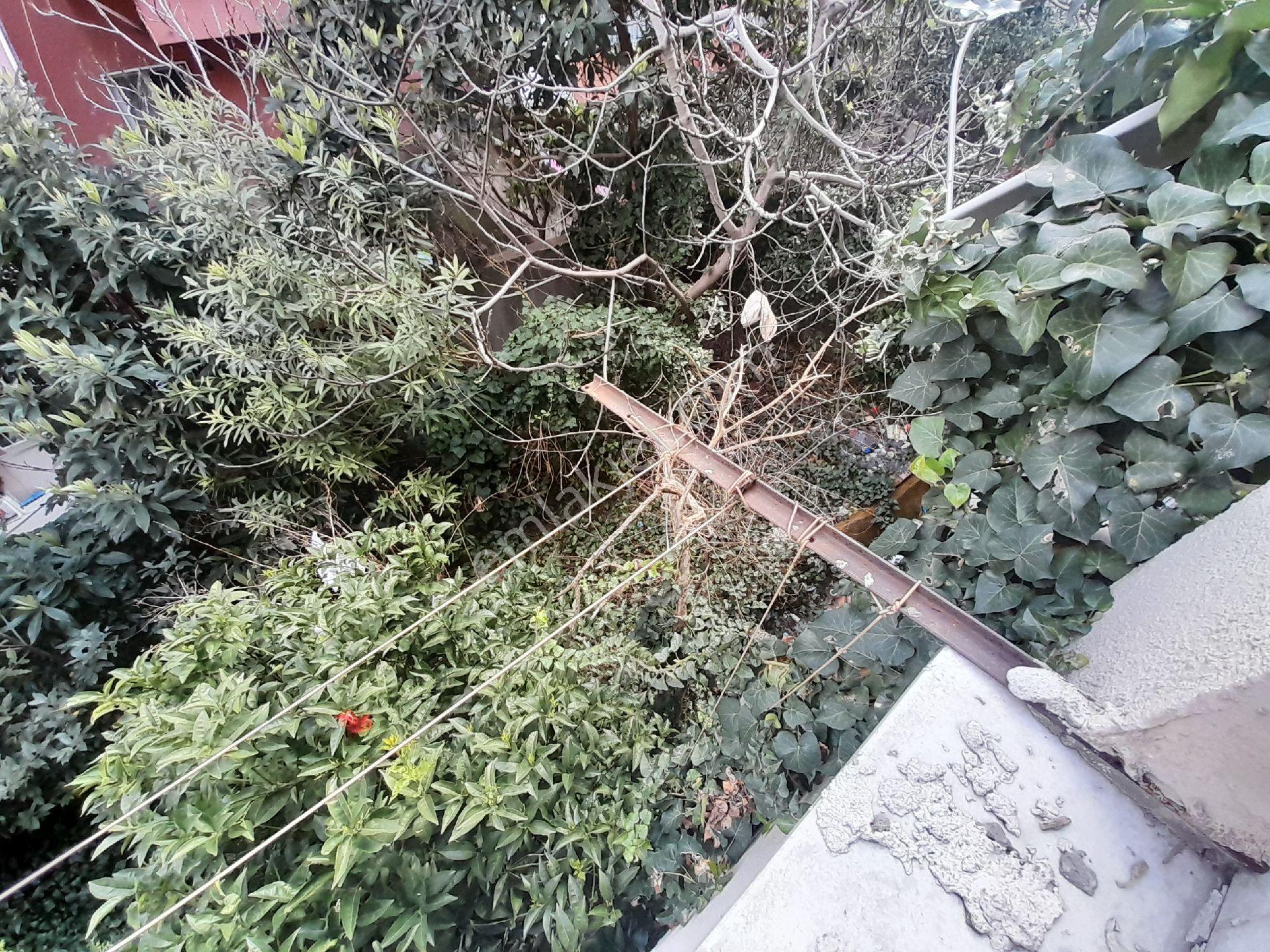 Kocamustafapaşa Cambaziye Sok 3 Katlı Satılık Bına - Görsel 23