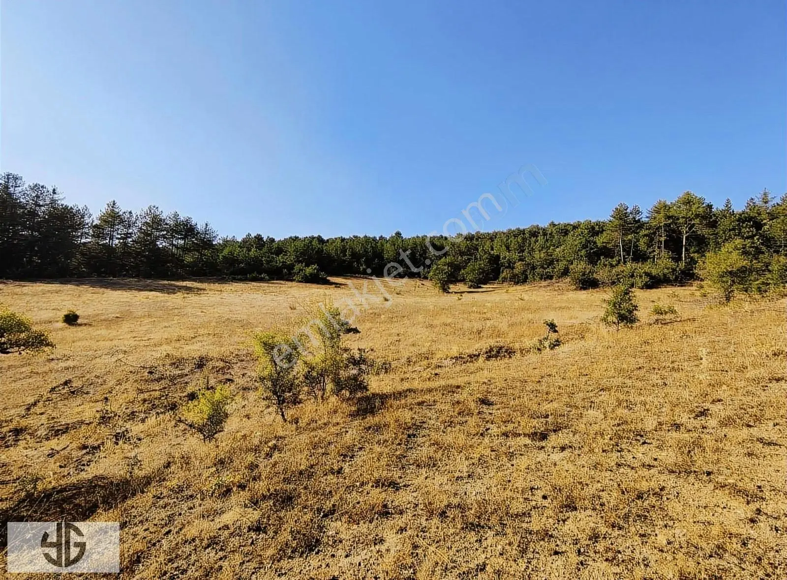 Bursa Keleste 19.111 M² Satılık Fırsat Arazi - Görsel 3