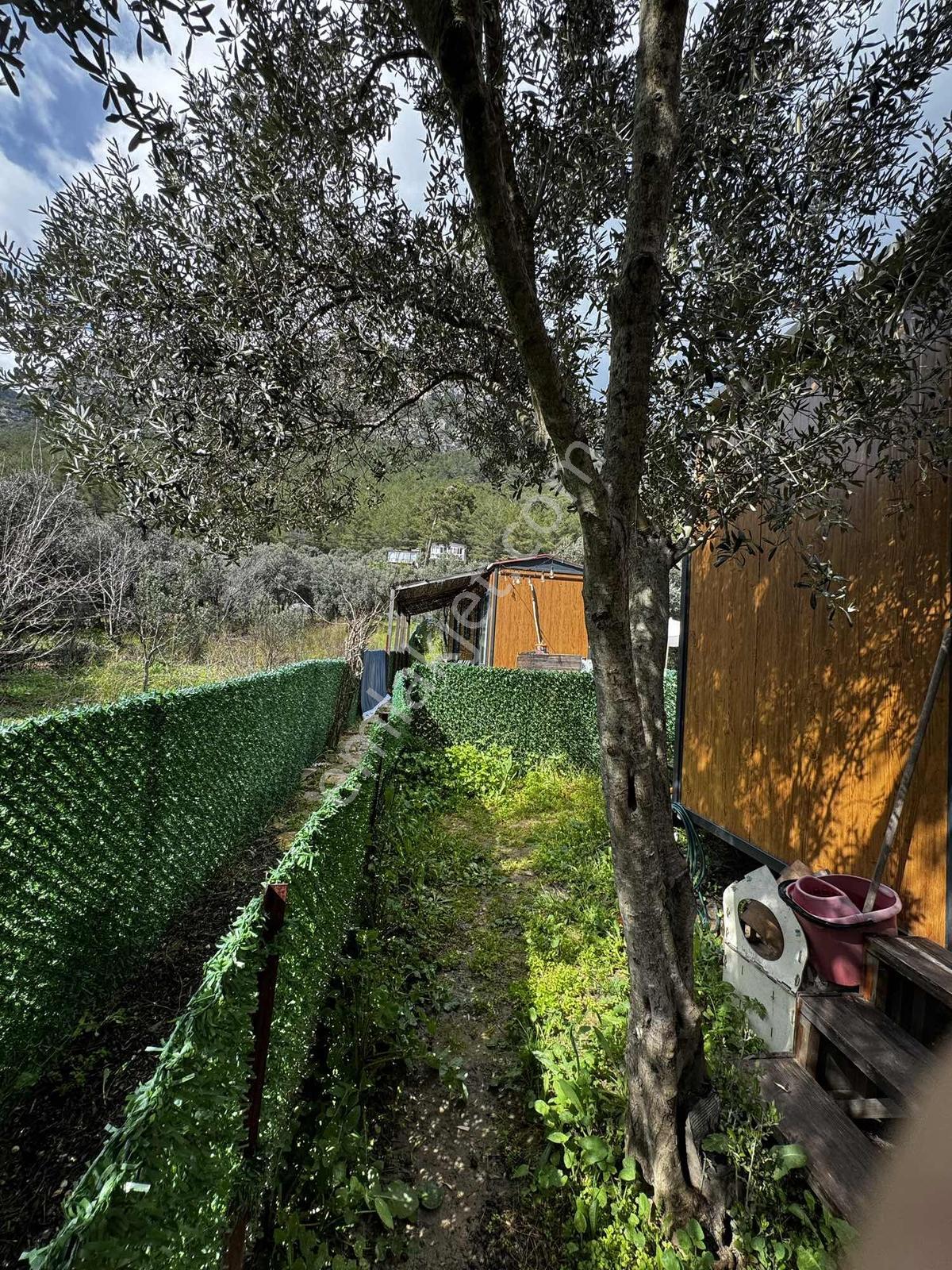 Muğla Akyaka'da Satılık Tarla İçinde 2 Tane Tiny House - Görsel 14