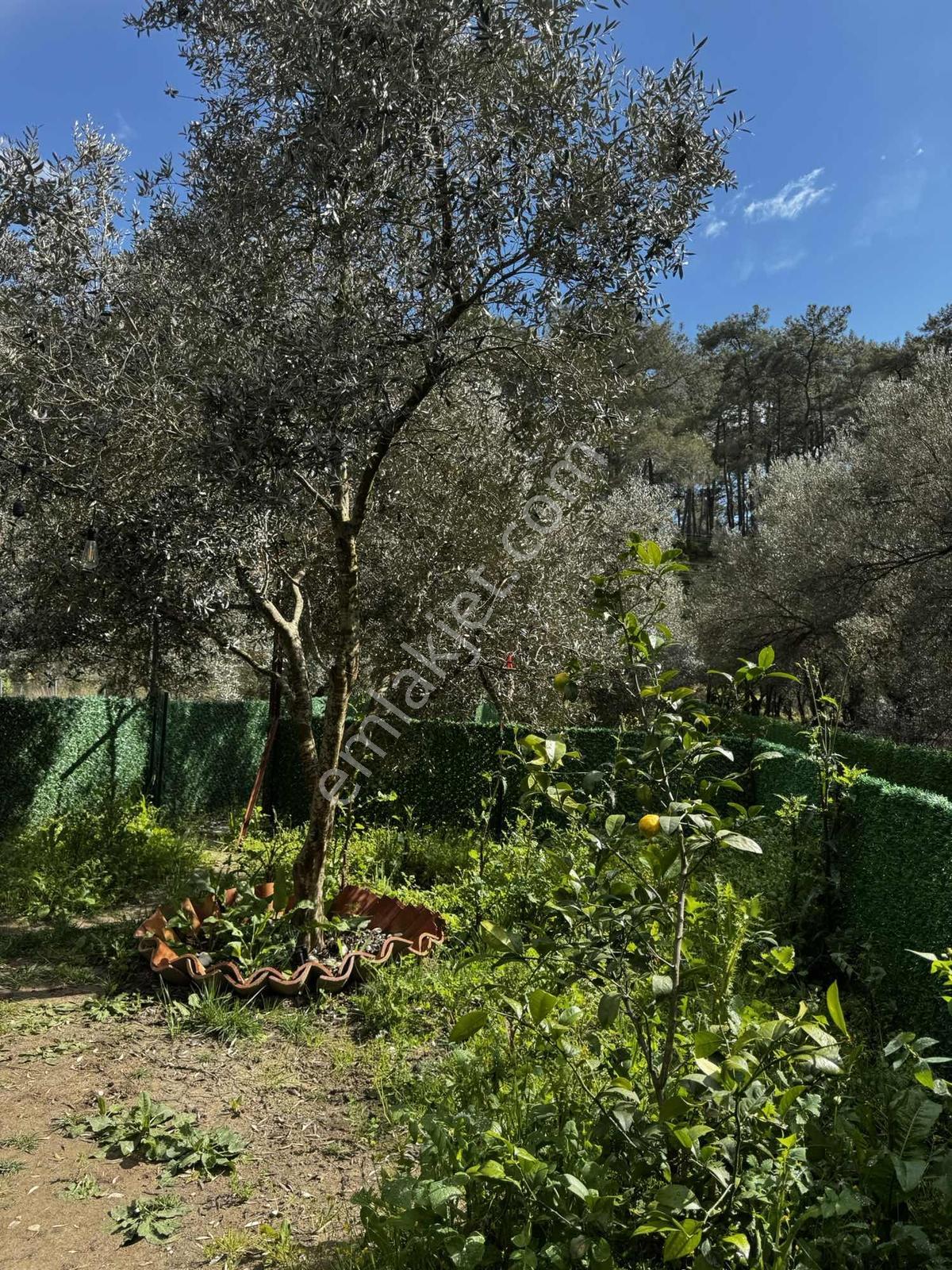 Muğla Akyaka'da Satılık Tarla İçinde 2 Tane Tiny House - Görsel 12