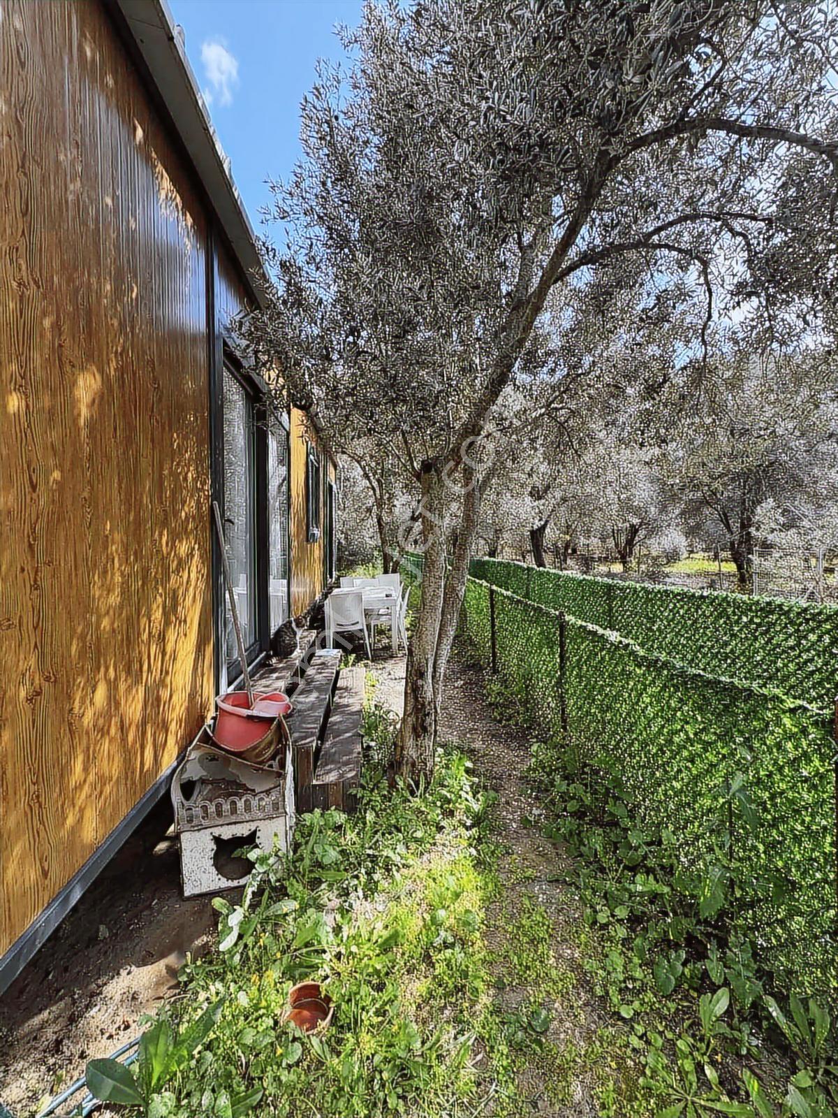 Muğla Akyaka'da Satılık Tarla İçinde 2 Tane Tiny House - Görsel 25