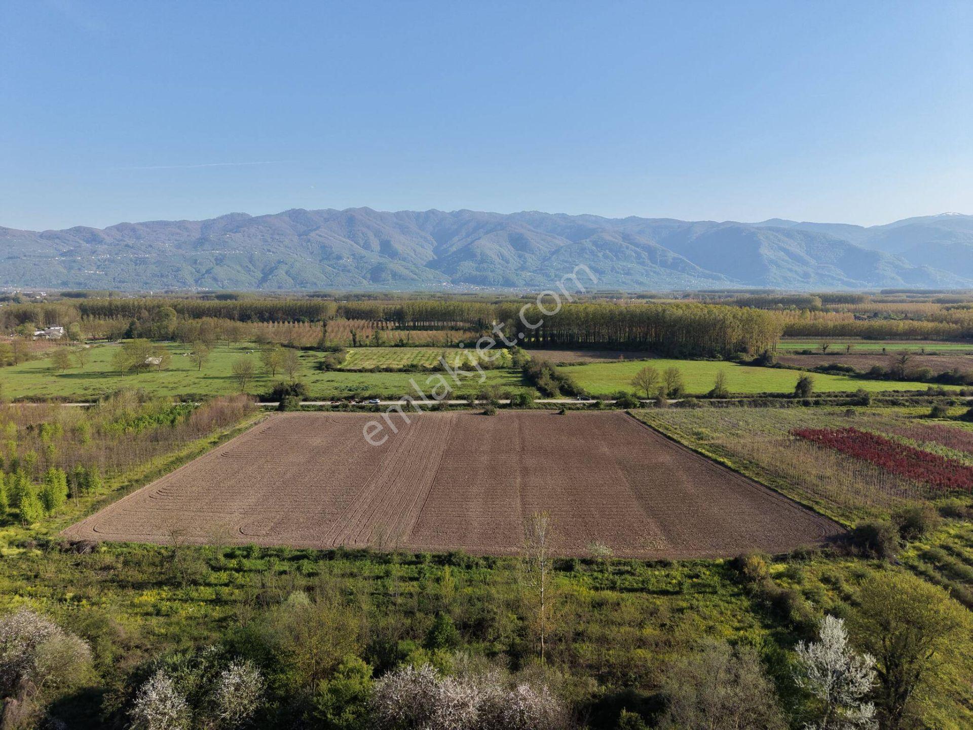 Bataklıçiftlik Köyü'nde 18.299 M2 Satılık Arazi - Görsel 5