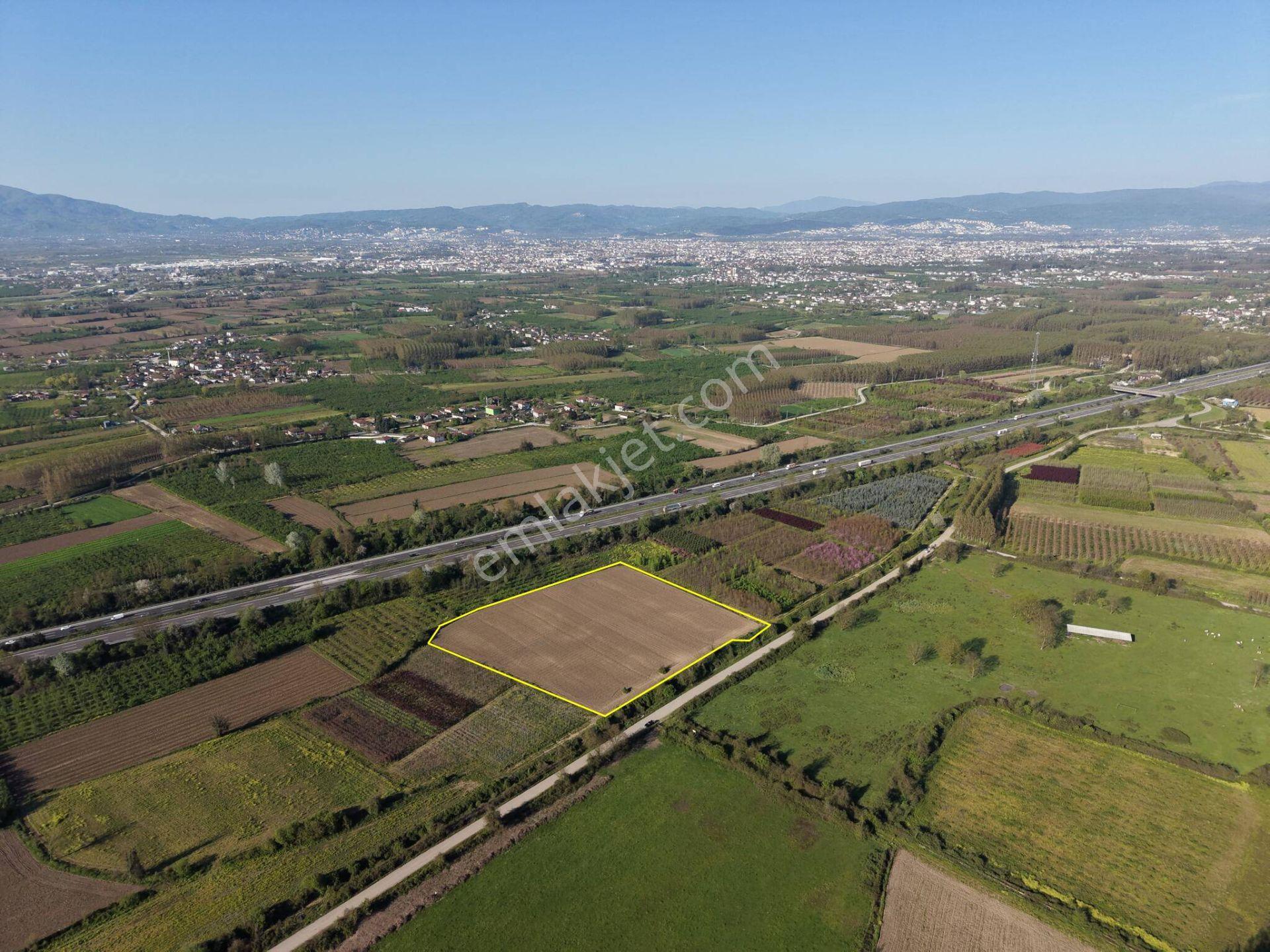 Bataklıçiftlik Köyü'nde 18.299 M2 Satılık Arazi - Görsel 9