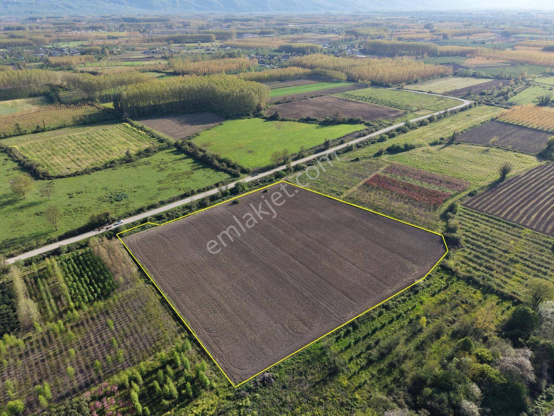 Bataklıçiftlik Köyü'nde 18.299 M2 Satılık Arazi - Görsel 3