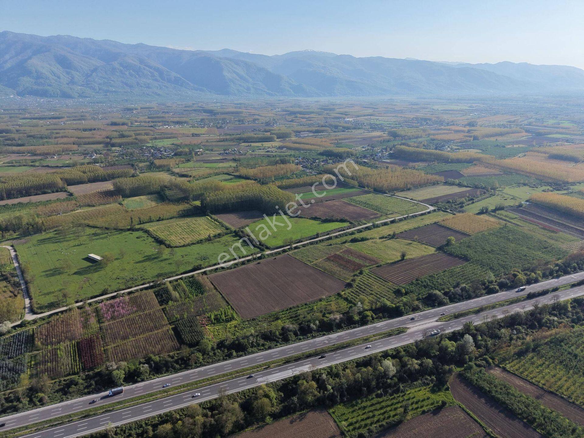 Bataklıçiftlik Köyü'nde 18.299 M2 Satılık Arazi - Görsel 25