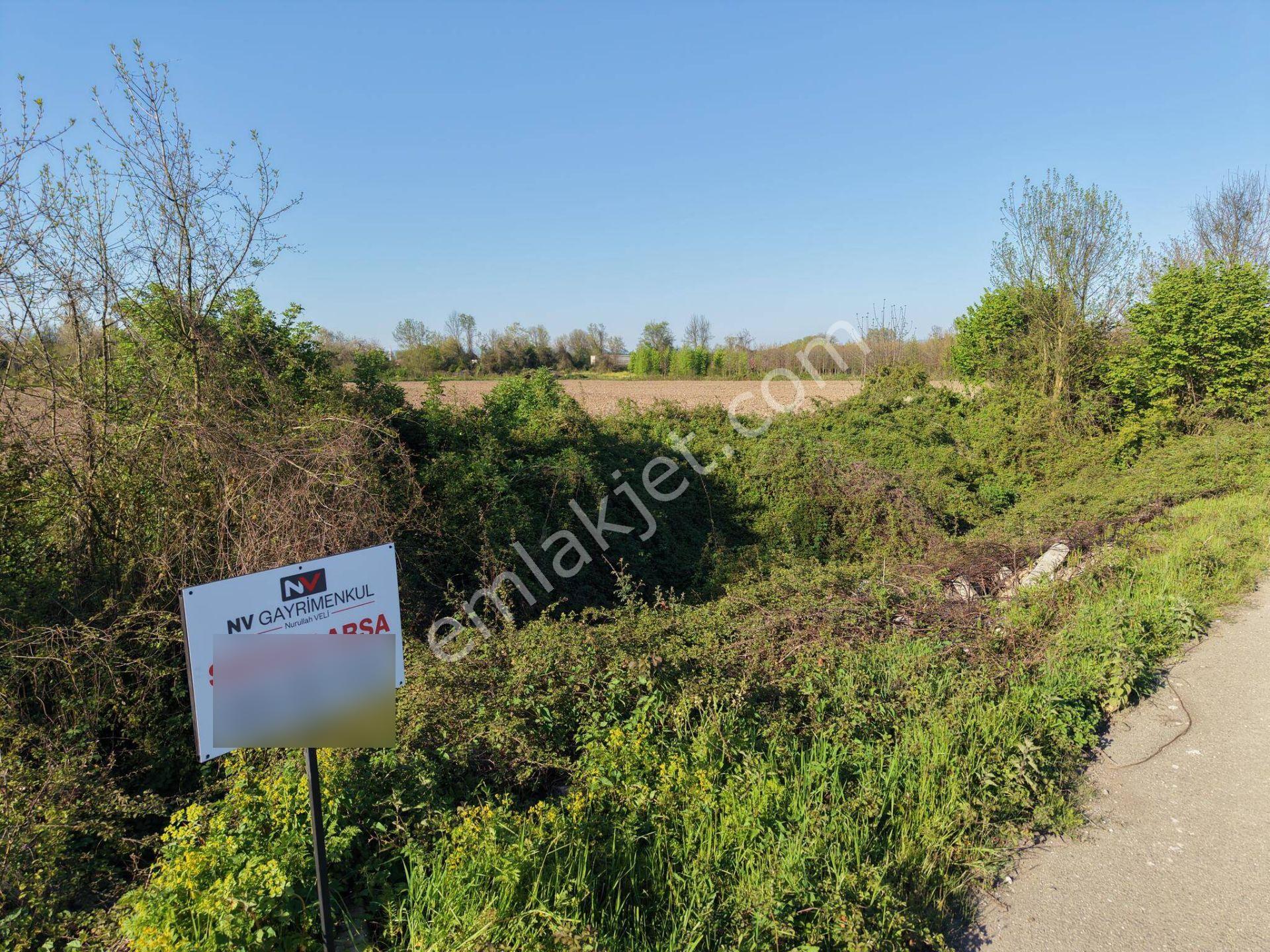 Bataklıçiftlik Köyü'nde 18.299 M2 Satılık Arazi - Görsel 16