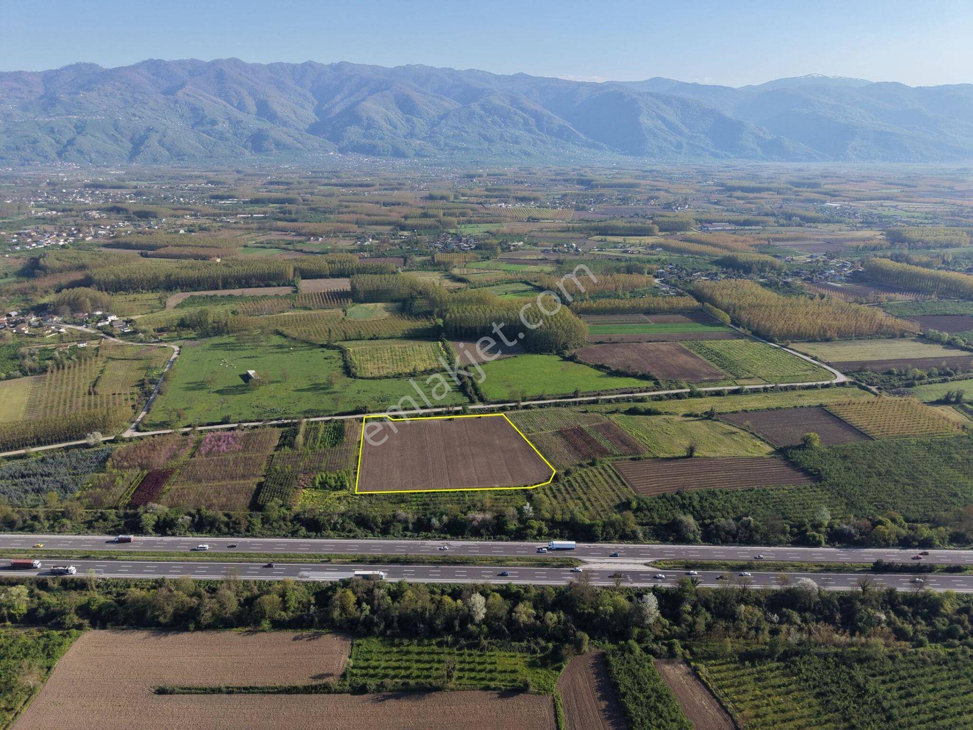Bataklıçiftlik Köyü'nde 18.299 M2 Satılık Arazi - Görsel 20