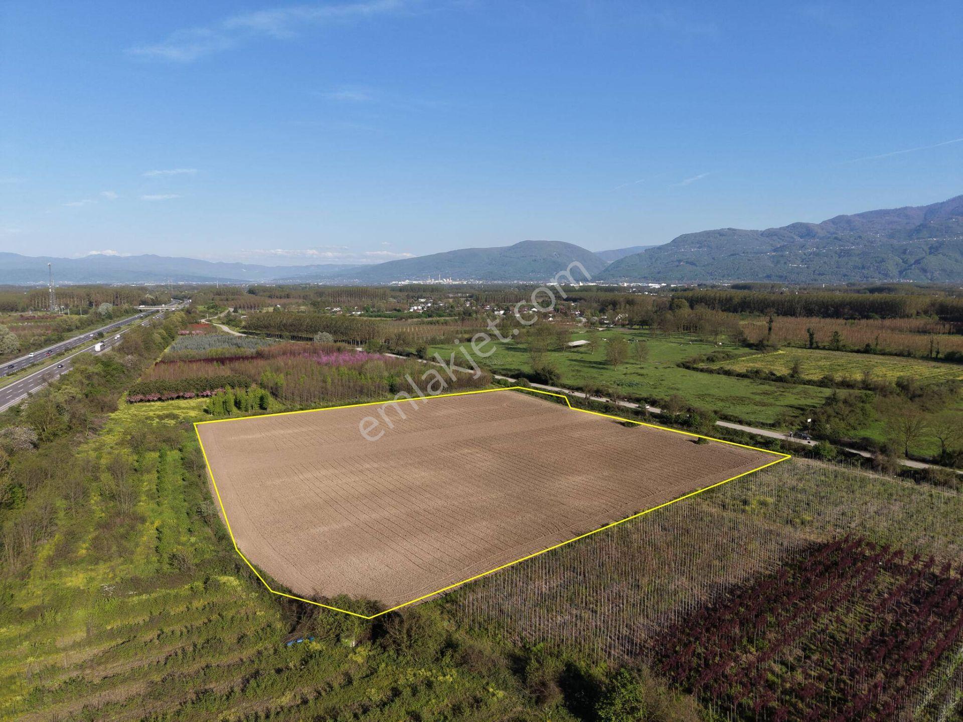 Bataklıçiftlik Köyü'nde 18.299 M2 Satılık Arazi - Görsel 35
