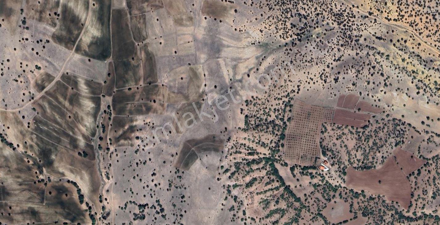 ♦️konya / Meram / Karadiğin Mahallesinde 4.000 M² Müstakil Tapulu Tarla⚠️ - Görsel 9