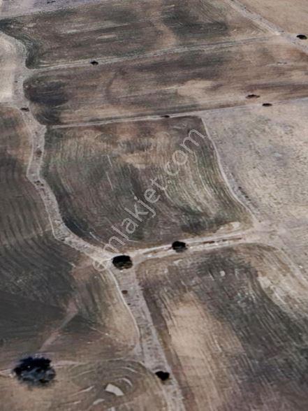 ♦️konya / Meram / Karadiğin Mahallesinde 4.000 M² Müstakil Tapulu Tarla⚠️ - Görsel 8