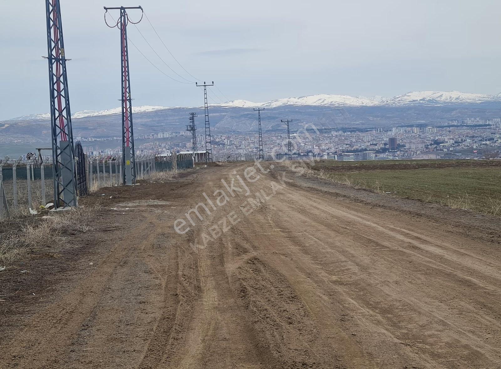 Sivas Mrk Esenyurt Mh.de 4263 Metre Kare Satılık Bahçe - Görsel 14