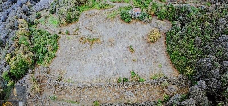 Temel Emlak'tan Tekkeköy, Karışlarda Satılık 15,5 Dönüm Arazi - Görsel 3