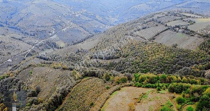 Temel Emlak'tan Tekkeköy, Karışlarda Satılık 15,5 Dönüm Arazi - Görsel 8
