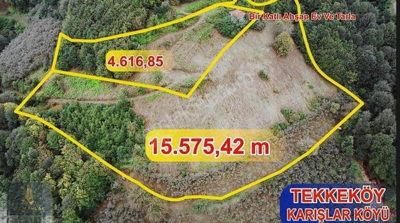 Temel Emlak'tan Tekkeköy, Karışlarda Satılık 15,5 Dönüm Arazi - Görsel 10