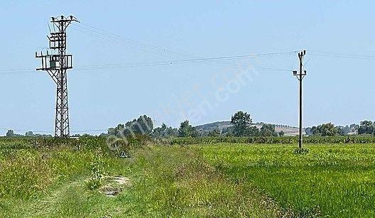 C21 Bal'dan Biga Cihadiye Mahallesinde Satılık Tarla