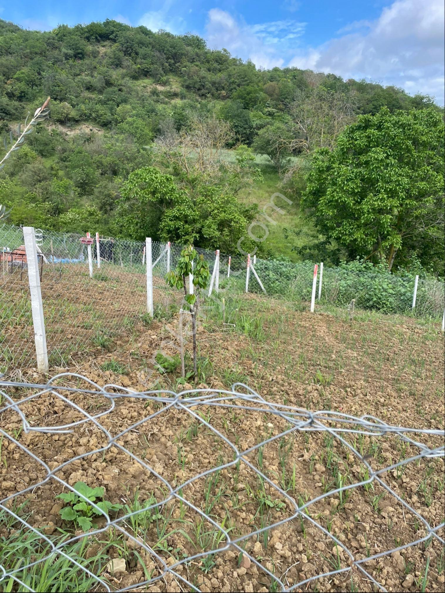 Tekirdağ Süleymanpaşa Avşar Mah İmarlı Acil Arsa - Görsel 8