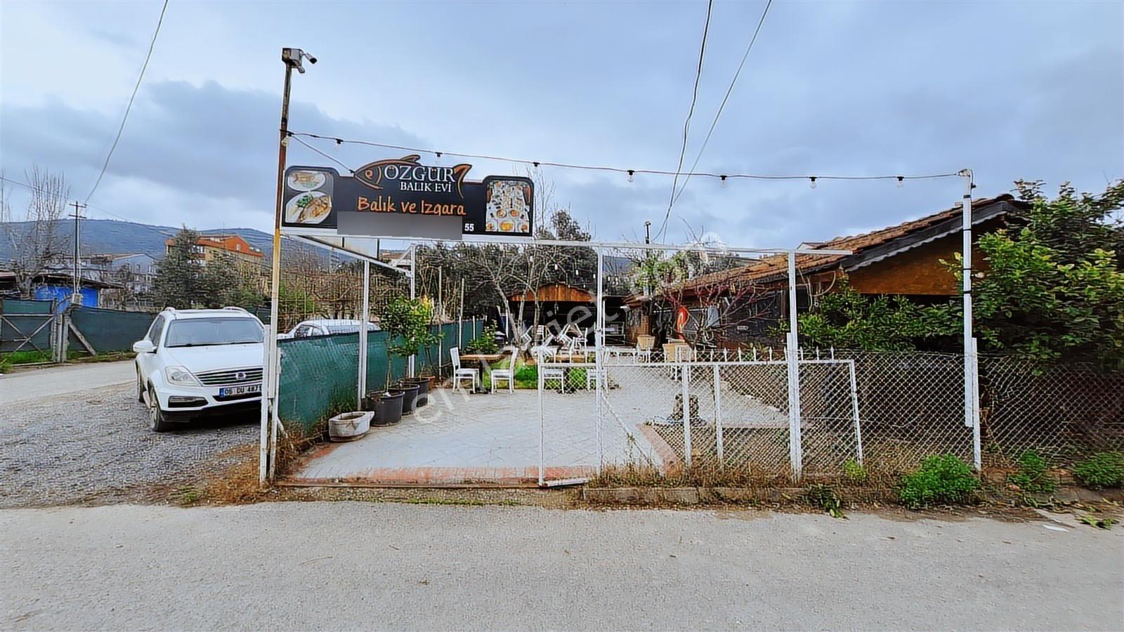 Körfez Yarımca Sahilde Devren Satılık Balık Restaurant - Görsel 22