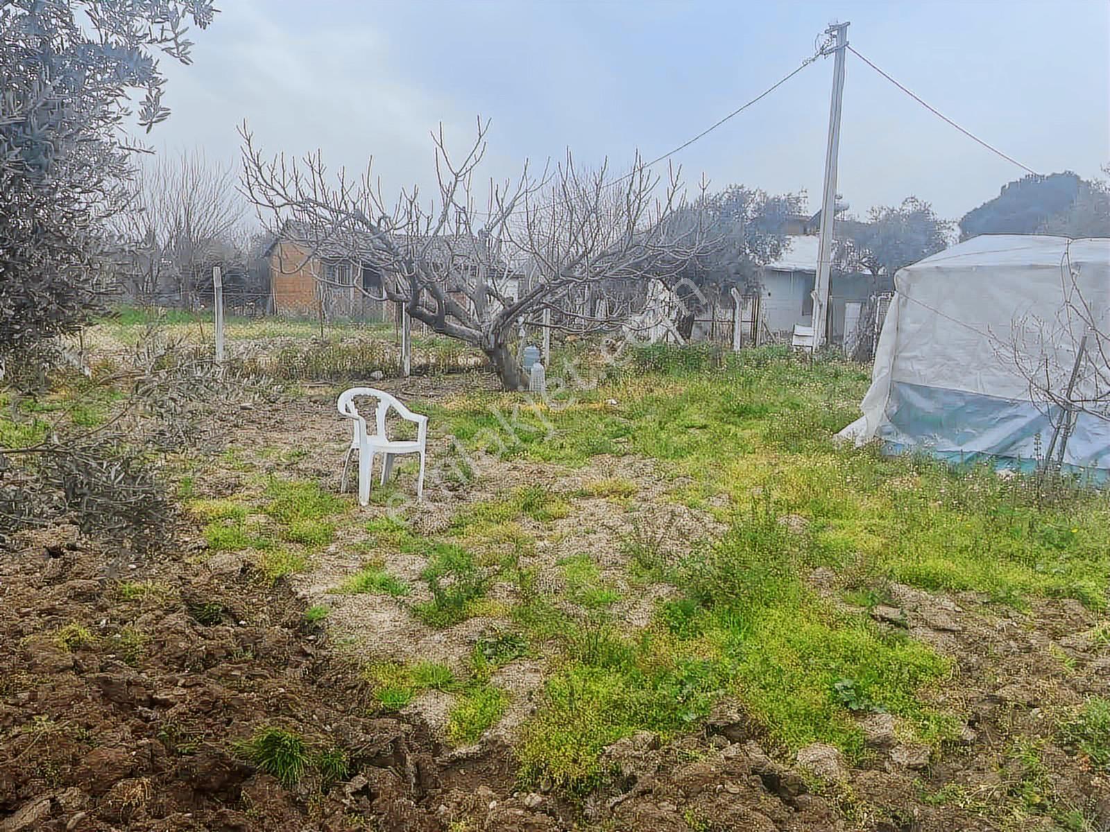 Century21 Işıltı'dan Umurlu'da 680m2 Satılık İmar'a Açık Arsa - Görsel 22