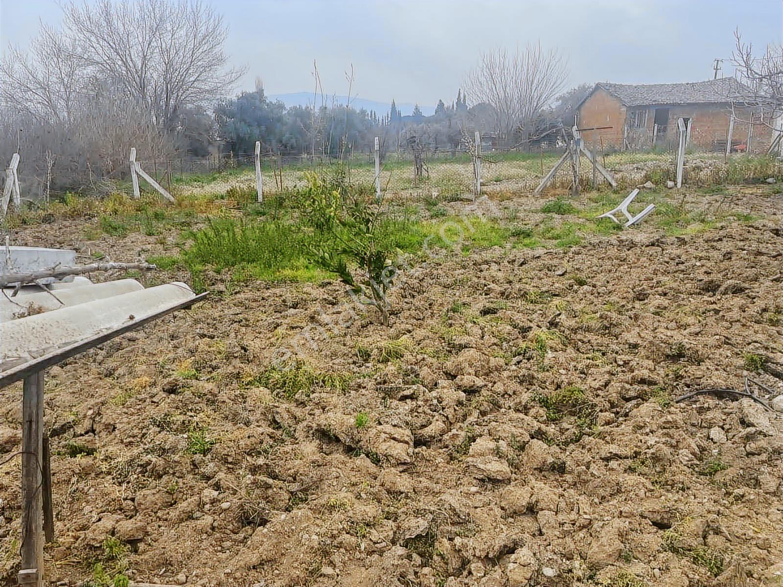 Century21 Işıltı'dan Umurlu'da 680m2 Satılık İmar'a Açık Arsa - Görsel 18