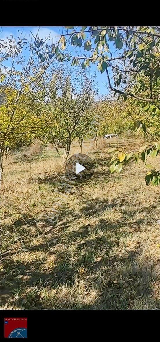 Sakarya Geyve Karacaören 683m Villa İmarlı Güzel Konumlu - Görsel 10