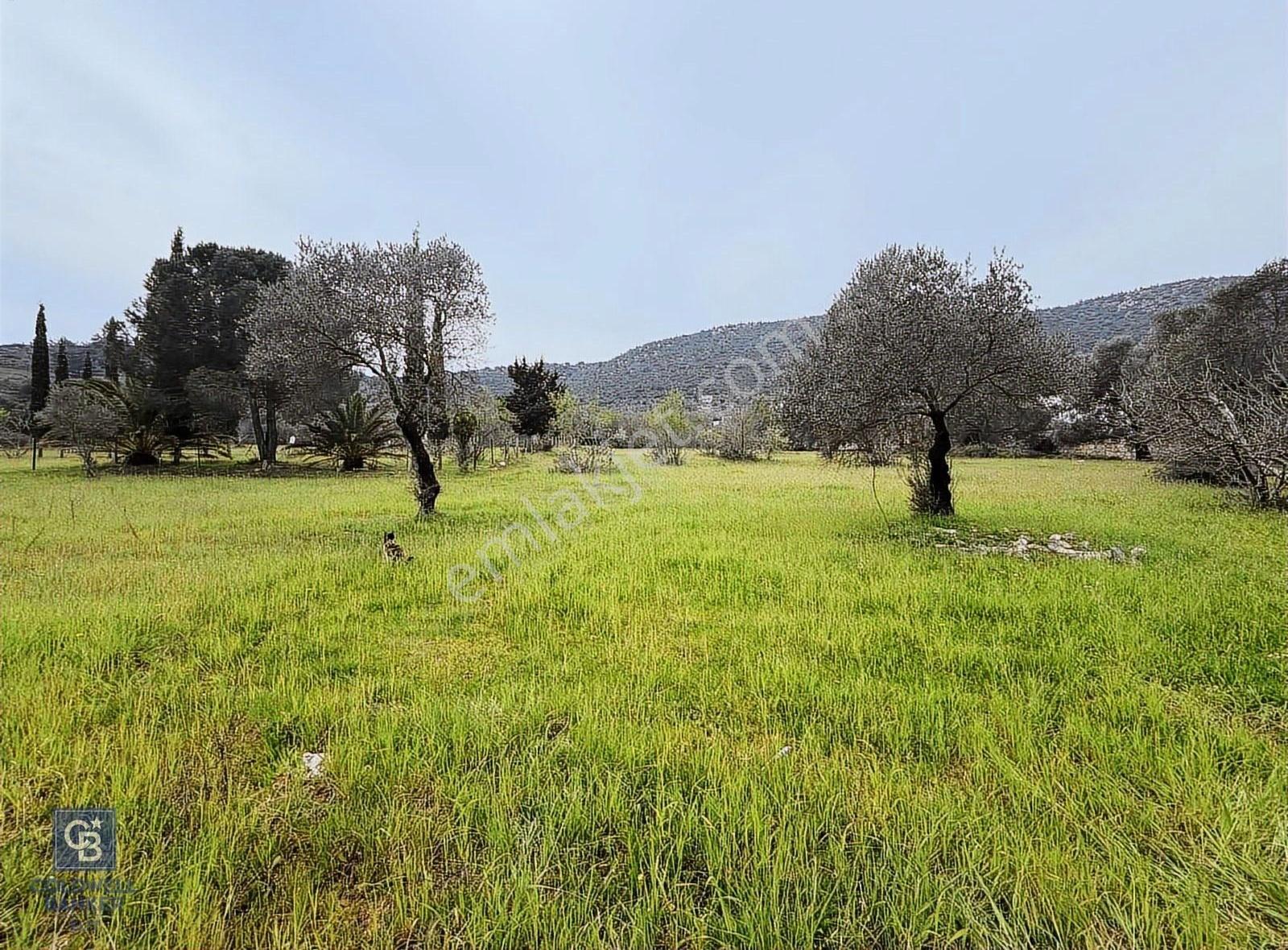 Bodrum Kızılağaç'ta Satılık Yatırım Fırsatı Tarla - Görsel 5