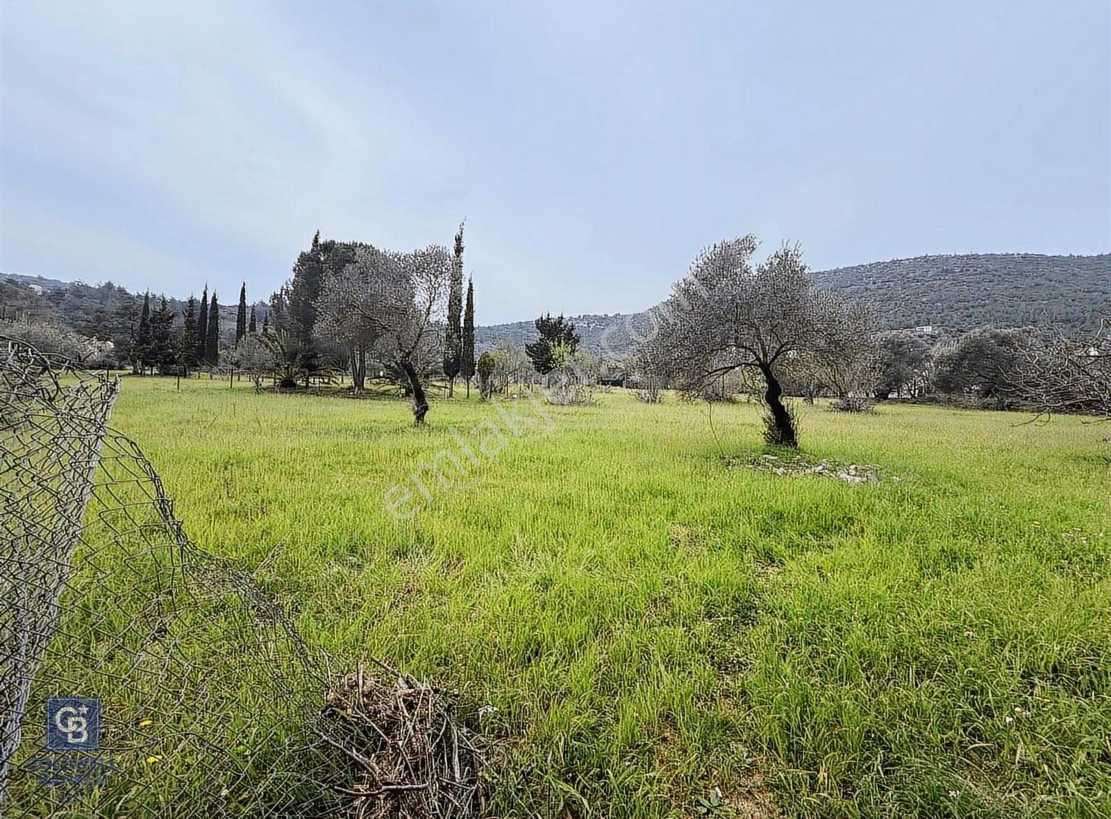 Bodrum Kızılağaç'ta Satılık Yatırım Fırsatı Tarla - Görsel 4