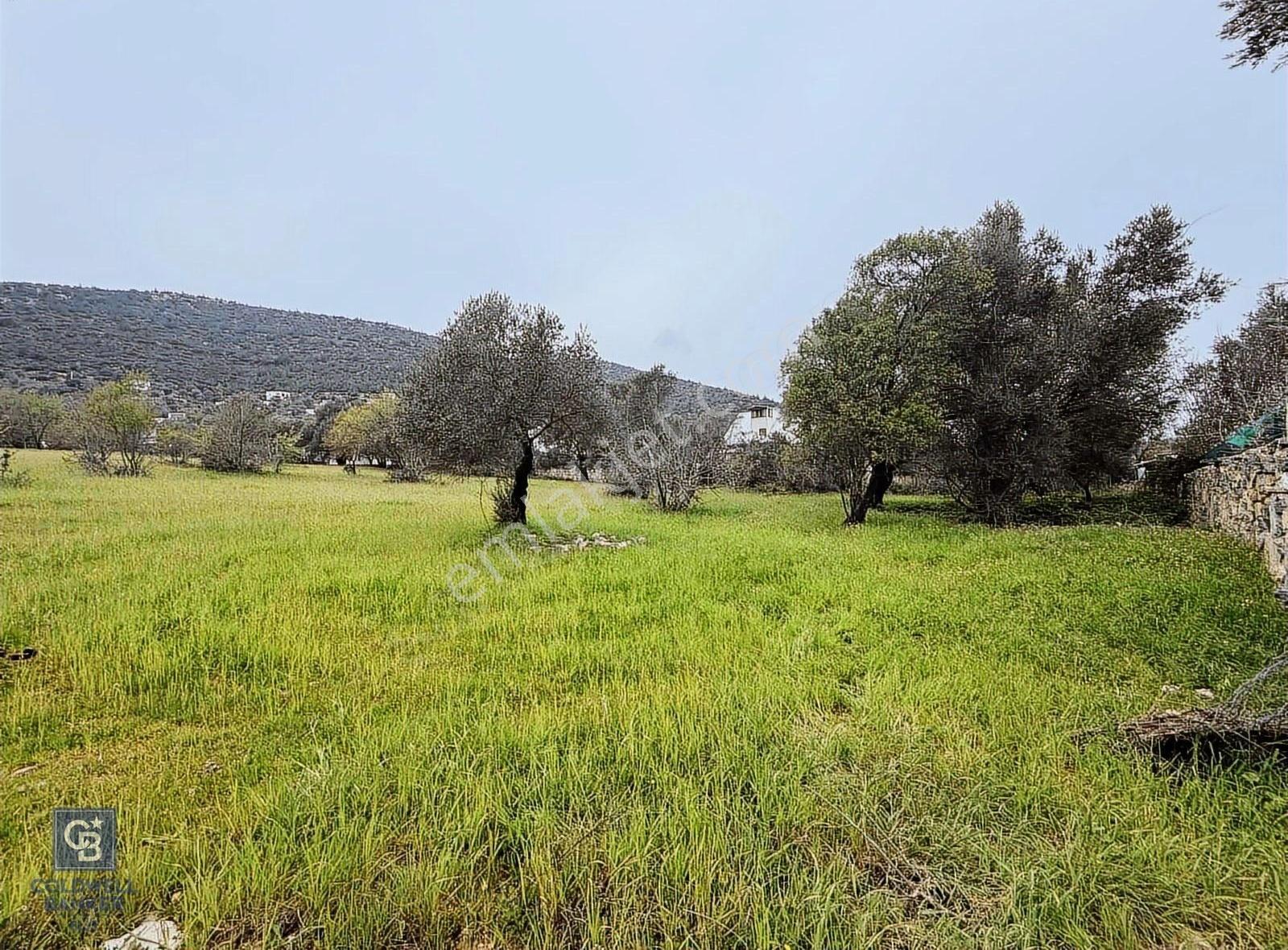 Bodrum Kızılağaç'ta Satılık Yatırım Fırsatı Tarla - Görsel 2