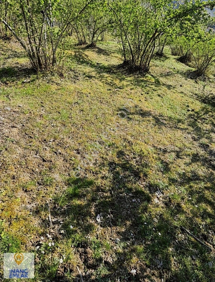 İnanç Emlaktan Keşap Düzköyde Satılık Fındık Bahçesi - Görsel 2