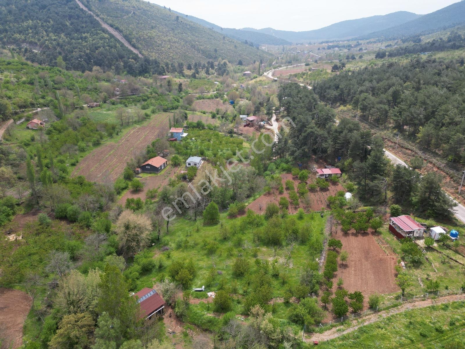 Bayındır Alankıyı'da Satılık Arsa - Görsel 14