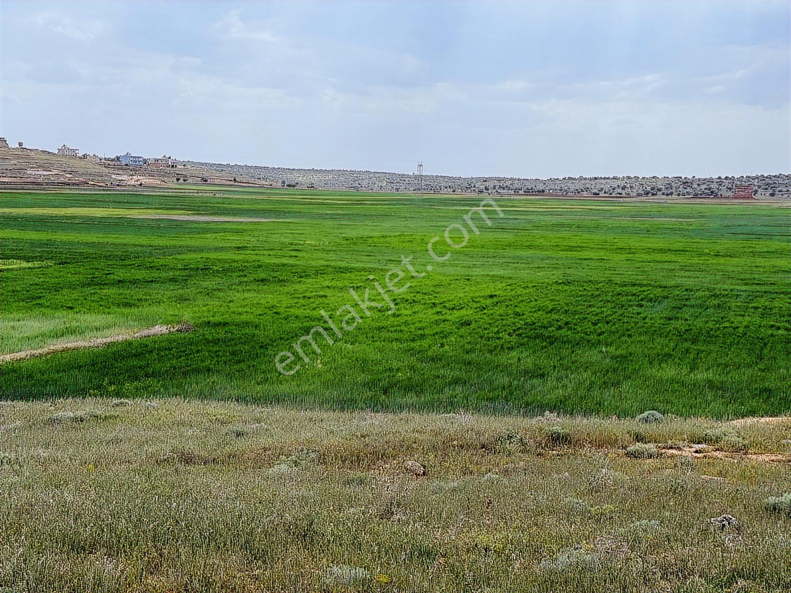 Winn All Grup'tan Midyat Gelinkaya'da Satılık Tarla - Görsel 6