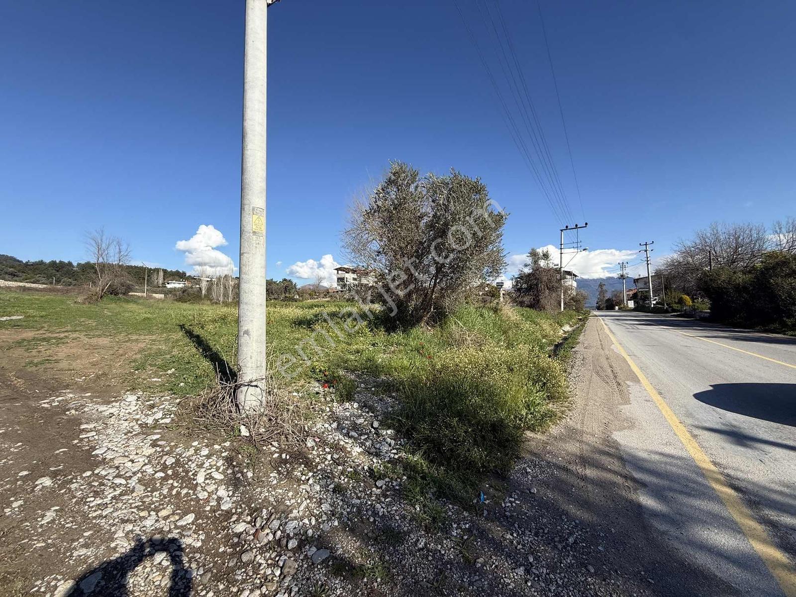 Muğla Seydikemerde Kiralık 1.500 M2 - Görsel 8