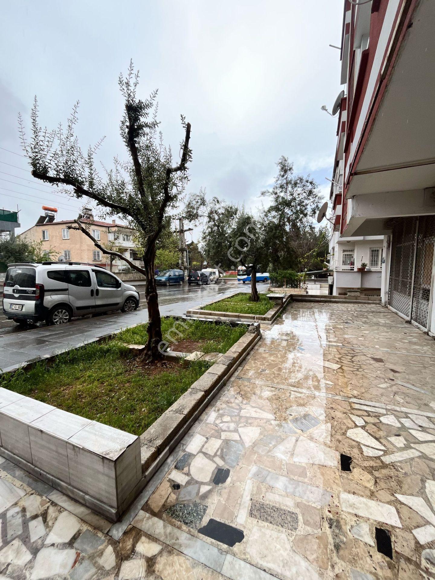 Gazikent 19 Nolu Cadde Üzeri 80 Metre Dükkan Otobüs Güzergahında - Görsel 11