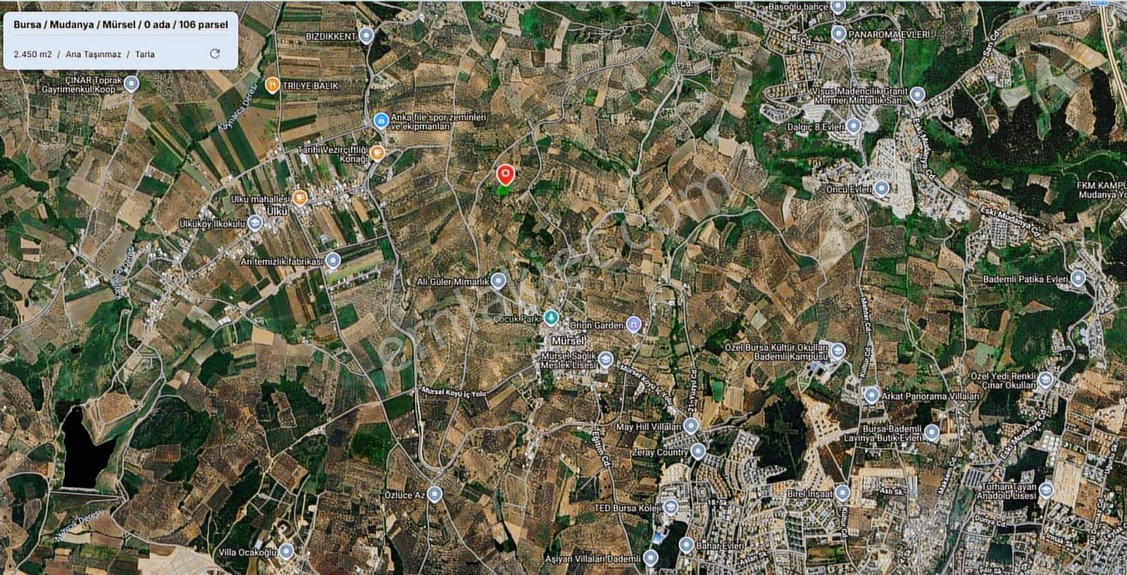 Bursa Mudanya Mürselde Satılık Yatırımlık Tarla - Görsel 6