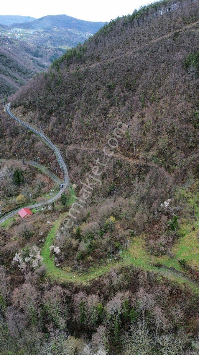 Zeybek 'den İnebolu 4.575. M2 Bayirlan Köy İçî Ana Yol Üstü - Görsel 8