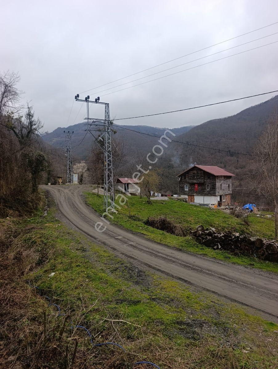 Zeybek 'den İnebolu 4.575. M2 Bayirlan Köy İçî Ana Yol Üstü - Görsel 16