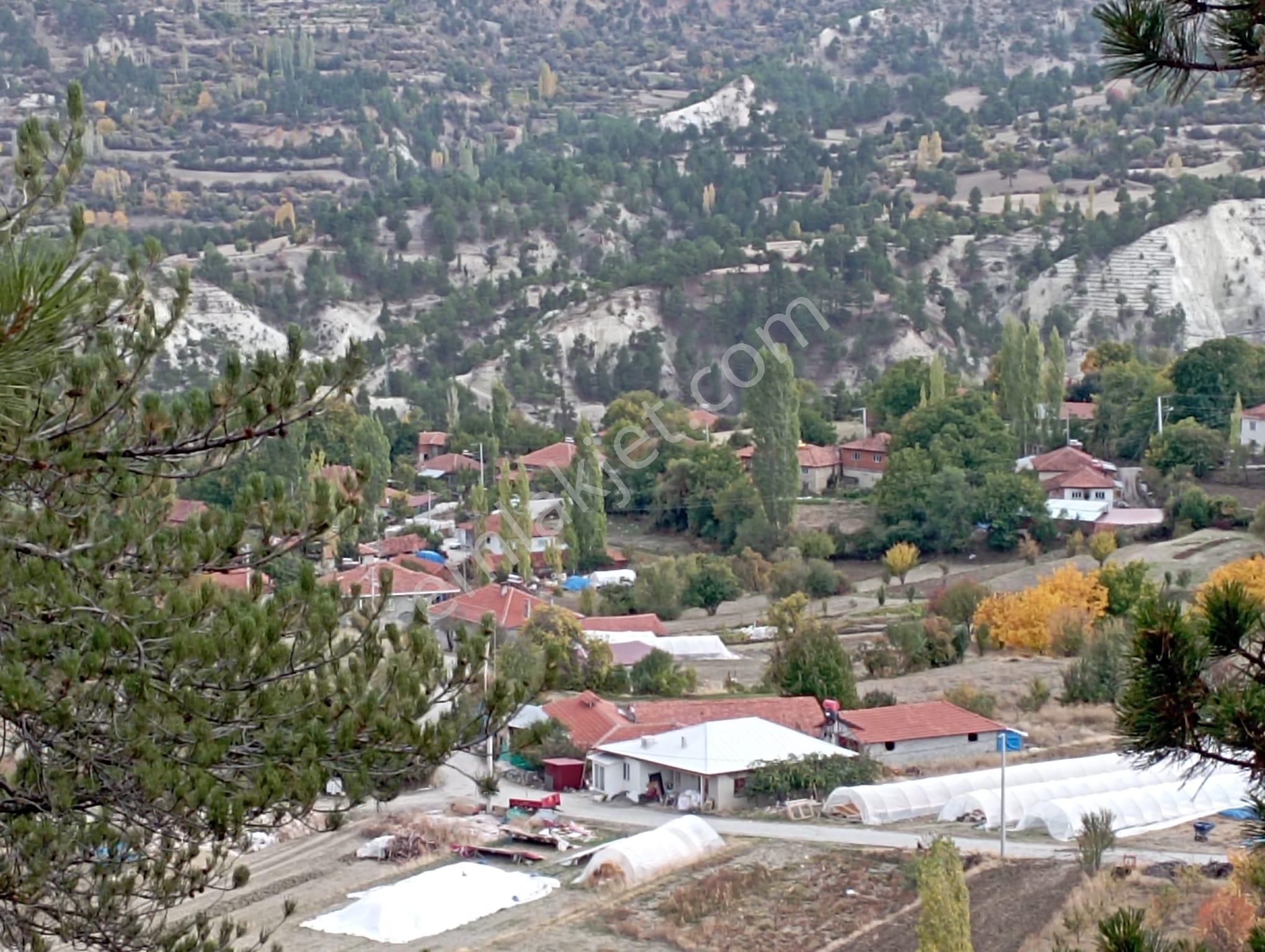 Denizli Çameli Yeşılyayla Sahibden Satılık Tarla.. - Görsel 9
