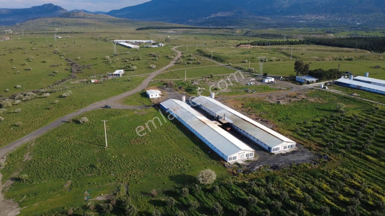 Güzelhisarda 454m2 Satılık Tarla - Görsel 29