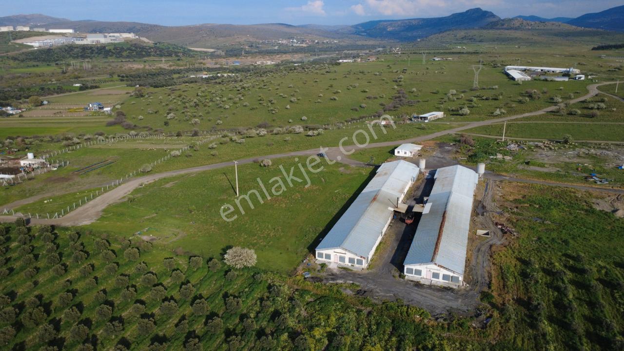 Güzelhisarda 454m2 Satılık Tarla - Görsel 25